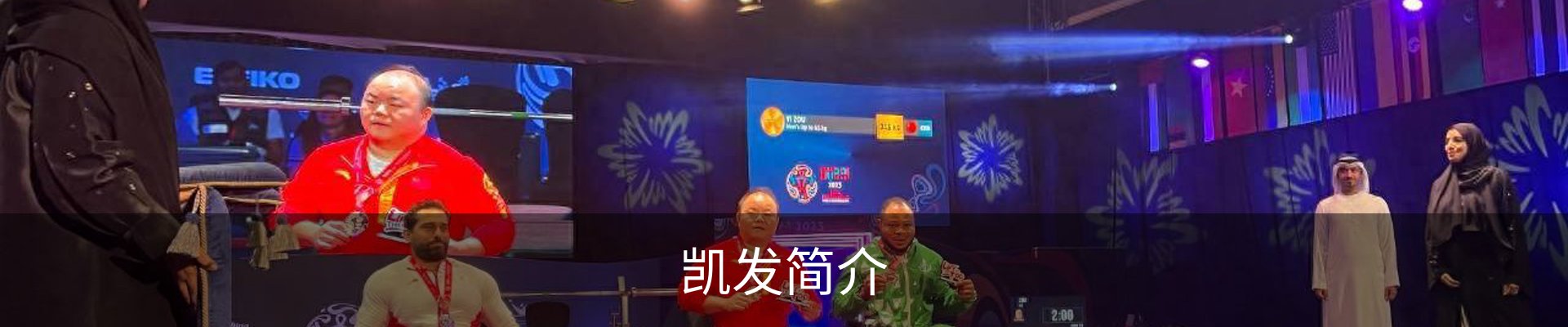 凯发简介